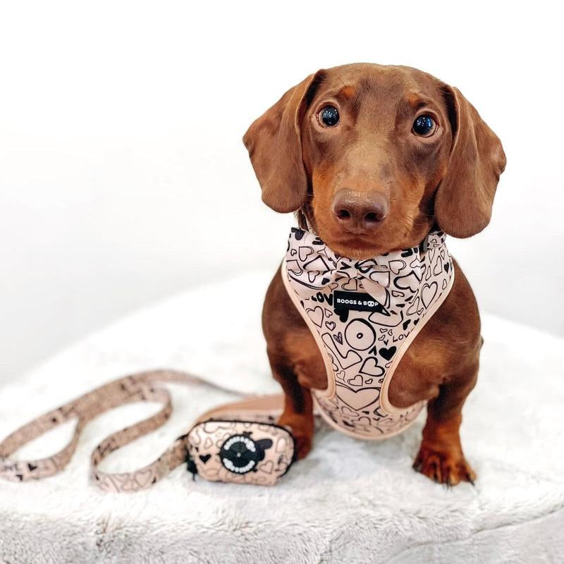 Reversible Signature Print Dog Harness